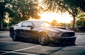 Принт на ворота Ford Mustang GT